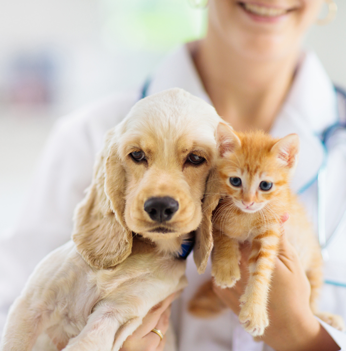 A smiling doctor holding a cute puppy and a kitten in their arms, showcasing care and professionalism towards pets.